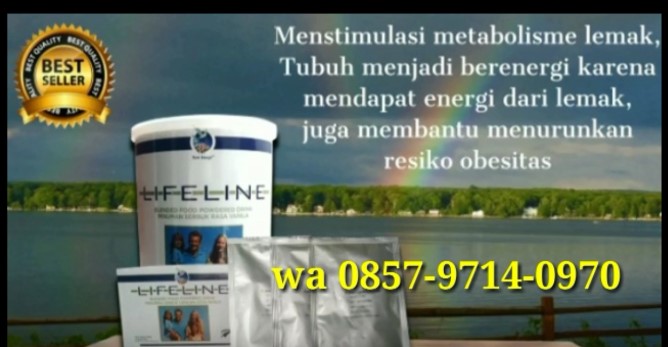 Agen resmi Jual susu Lifeline dan K28 Asli di Semarang 085797140970